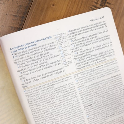 image_6ae8fb19-ae3d-44e9-a134-6a9f63e962ab