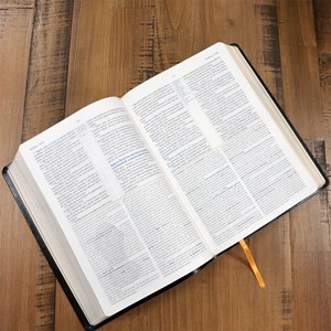 Bíblia de Estudo Holman | ARC | Capa Preto Luxo