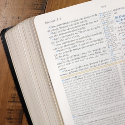 image_1253e7ba-b0eb-49df-8ad7-ee71363bb354