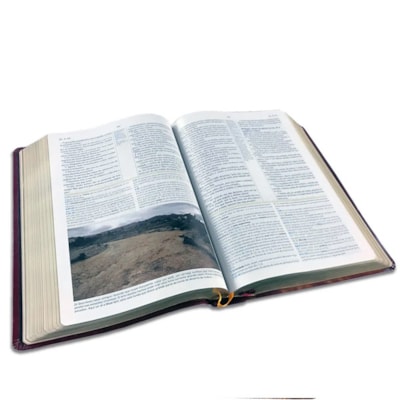 image_ecc4f649-c155-48fa-8078-685a861a77f3