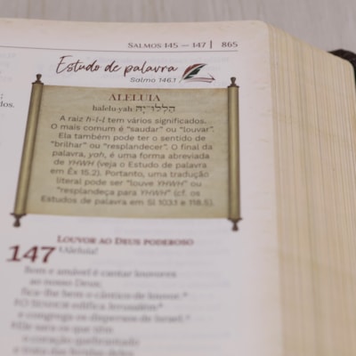 image_12c8834b-1da8-4616-8c5f-f9da3136227b