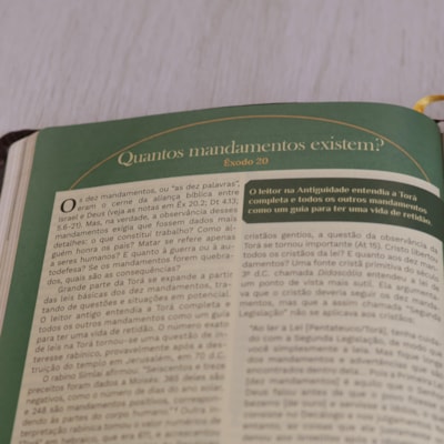 image_f0473c28-dc91-4d36-9876-df113be3e960