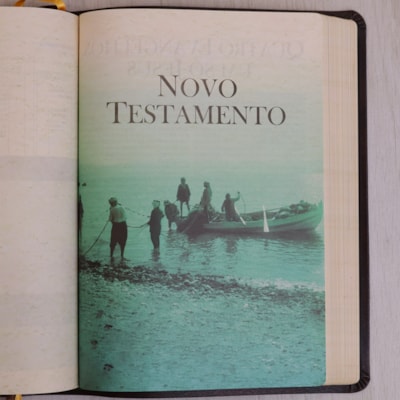 image_d15322df-fe68-49be-9e2d-b4919e64fa07