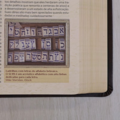 image_9ccb40c9-e077-42c3-b1da-2f767244f902