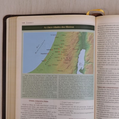 image_3281f575-7457-45df-b0aa-4485d491ce08