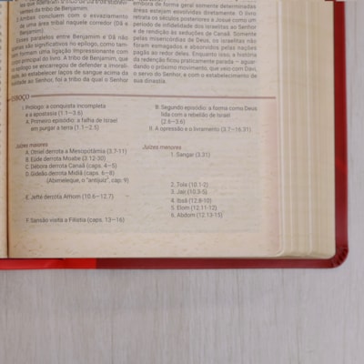 image_a1cd4844-0af0-4bfa-94a1-14a2ab15c613