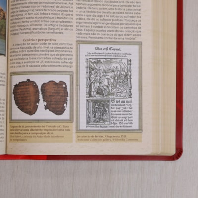 image_796da845-d954-44ce-9a05-2e71a8b23943