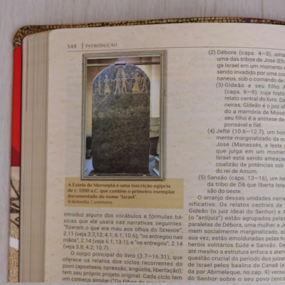 image_c2b2da48-e13b-45b7-9293-d016d312765b