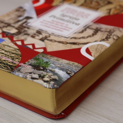 image_4878111d-9bf8-4ab4-a084-1af1a4a0eb9d