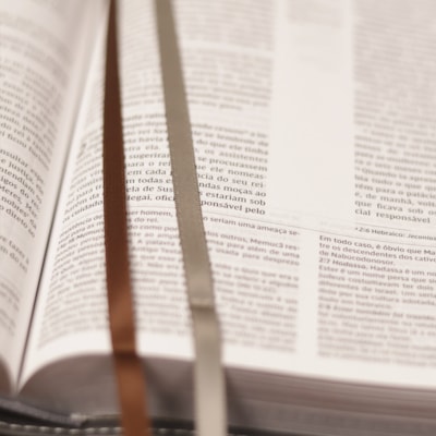 image_01c7587c-117c-4f15-b392-e576a9be9d30