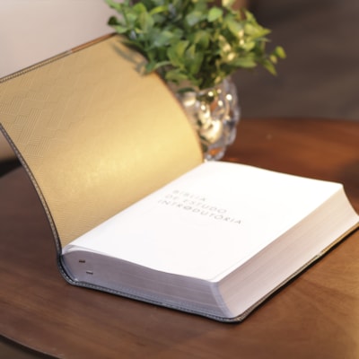 image_b40957c9-d8cd-43b1-b5aa-dc83745ae403