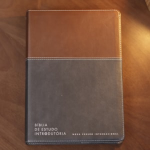 Segunda imagem do produto Bíblia de Estudo Inrodutória | NVI | Leitura Perfeita | Capa Couro Soft Marrom e Cinza Chumbo