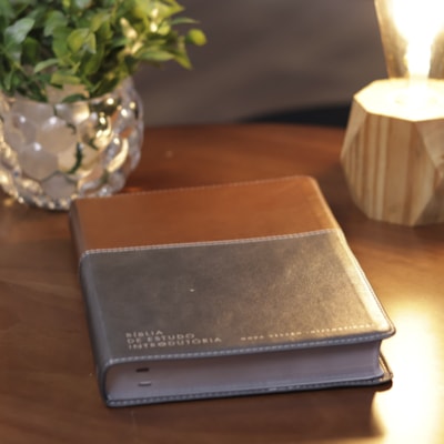 image_2ef52a5b-14a0-402b-81db-224d1e706606