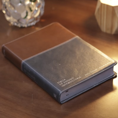 image_1702dd5d-7b5b-4cb6-ba66-600d9b78f92a