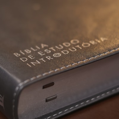 image_3641bbf5-3fb9-461d-a7e3-9160c256a4d3