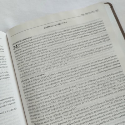 image_005e0b52-6611-4327-a451-9ccd270280aa