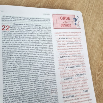 image_059a8851-0ace-4241-b05d-4aedb90d280b