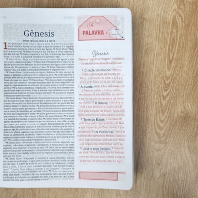 image_99de216c-961f-4c8d-a370-c25011320e8c