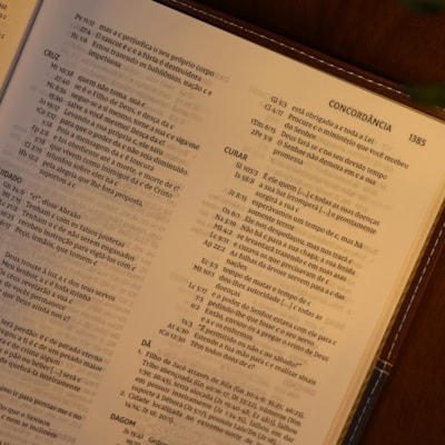 image_d9bec68a-74ea-4cde-b652-5fcf7fbc04a8