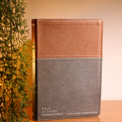 Segunda imagem do produto Bíblia de Estudo Introdutória | NVI | Leitura Perfeita | Capa Couro Soft Marrom e Cinza Chumbo
