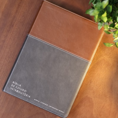 image_5aafb0df-91c3-4e6d-86f9-49a49260a975