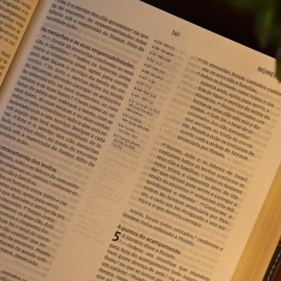 image_a4f29c21-2ff5-4013-9396-1a7f395fd817