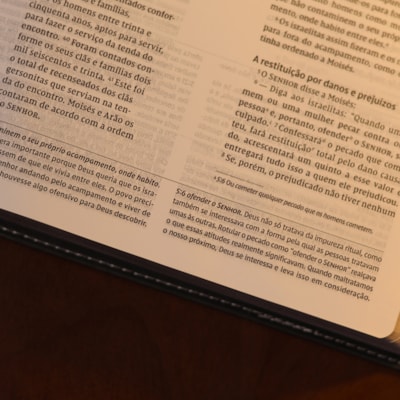 image_85846c49-50aa-4332-ae8f-6408c0093728