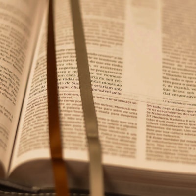 image_c176a0ac-200d-4bbb-ad99-e84da429333a