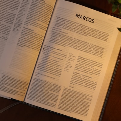 image_ca6a5e4e-3c04-4c68-8f0f-acd81c4df43f