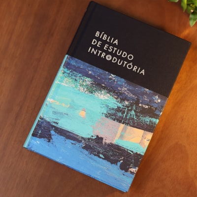 image_ca00ccac-cdd3-4b21-a805-a6df60a7bbf4