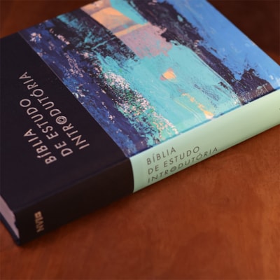 image_9122b62e-2278-4dde-8613-fd5a26f2b280