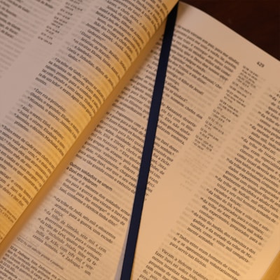 image_ec0d78bf-1bad-4ee4-8c37-684f82351a11