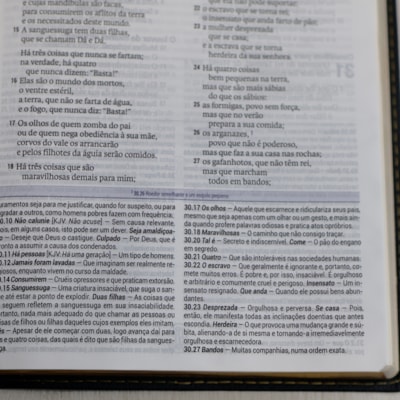 image_17713eef-2c11-4647-a659-e4e076870ee7