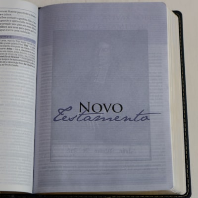 image_a7ac629c-39d8-4f95-90c7-229f55fcc211