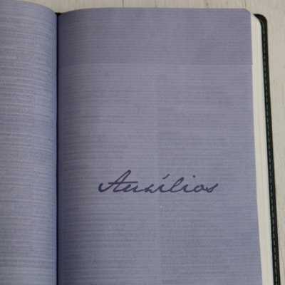 image_423ca0e4-fd0c-407a-8464-b2e82302dc01