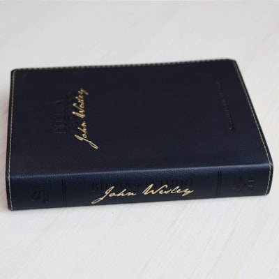 image_77bad76c-a9e0-4dd7-b4b0-a899bc8ba404