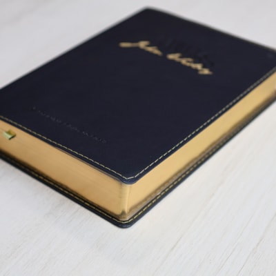 image_41b2a43f-53b1-4aaa-b854-9e908d2a0f59