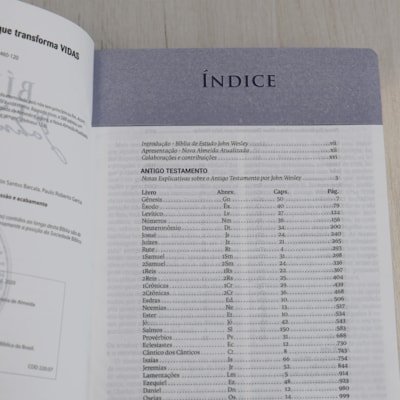 image_4a52c17c-69c1-47bc-81c4-a44fd13346bf