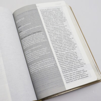 image_444b16c5-23c9-4e16-9fbe-f528d354e85e