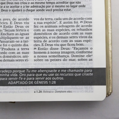 image_699a7870-25b9-4209-9fb6-2c1d6d4c7ca7