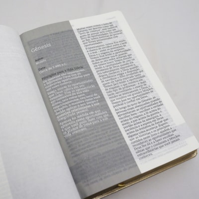 image_c00c0107-6ac0-4e10-89c9-ecc71fc1030a