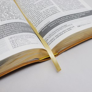 Bíblia De Estudo Joyce Meyer | NVI | Letra Grande | Capa Luxo Mostarda
