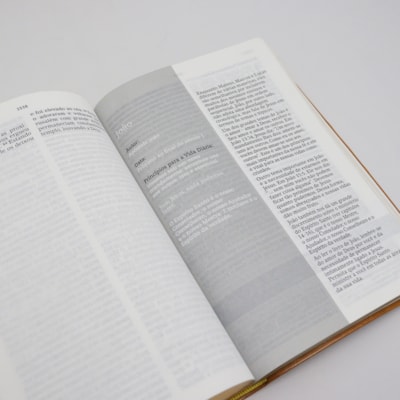 image_4e83feb0-c2b1-481b-a069-ba3868d27049