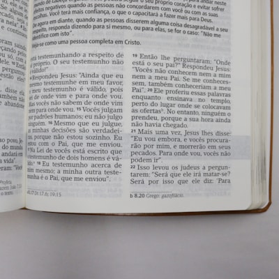 image_e5174509-a269-47fb-bac2-966ccf4fe7da