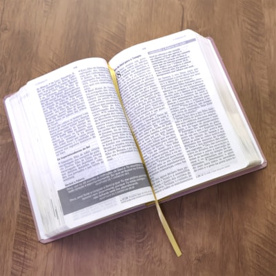 image_496047f7-f057-451a-a2fa-db014d58c2f4