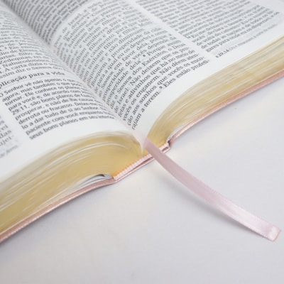 image_771e54c3-90b3-47aa-87ac-cace94bddf61