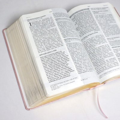 image_892c9ead-70a5-4319-9451-8509269d3577