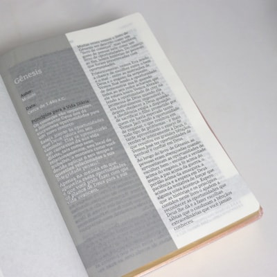 image_880d9f73-f5f8-47ab-911d-2044909d85dc