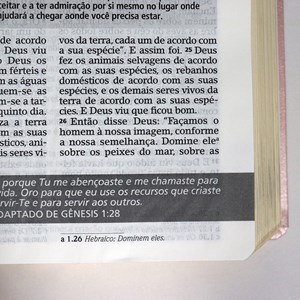 Bíblia De Estudo Joyce Meyer | NVI | Letra Grande | Capa Luxo Rosa