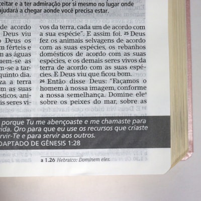 image_6a5c58a1-30d0-4c85-9357-6507f0bdb15d